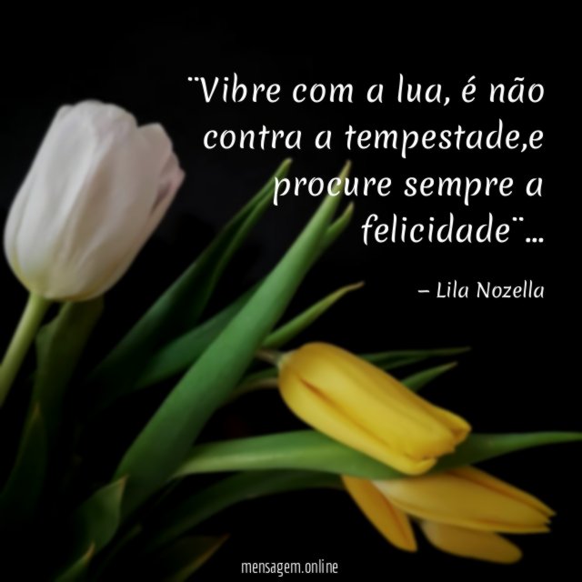 ¨Vibre com a lua