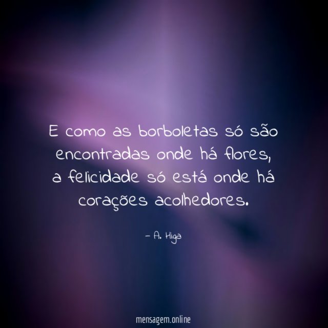 E como as borboletas só são encontradas onde há flores