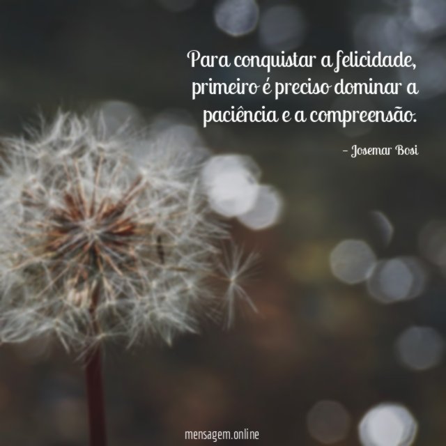 Para conquistar a felicidade
