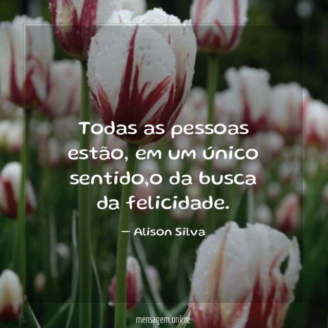 Todas as pessoas estão