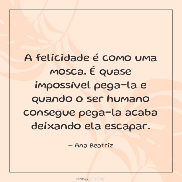 A felicidade é como uma mosca