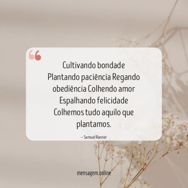 Cultivando bondade Plantando paciência Regando obediência Colhendo amor Espalhando felicidade Colhem