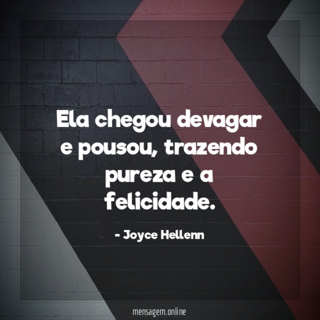 Ela chegou devagar e pousou