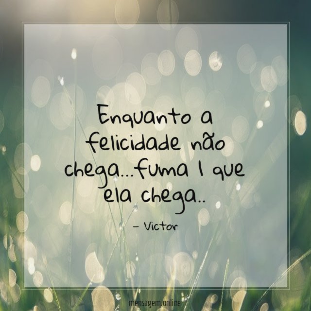 enquanto a felicidade não chega