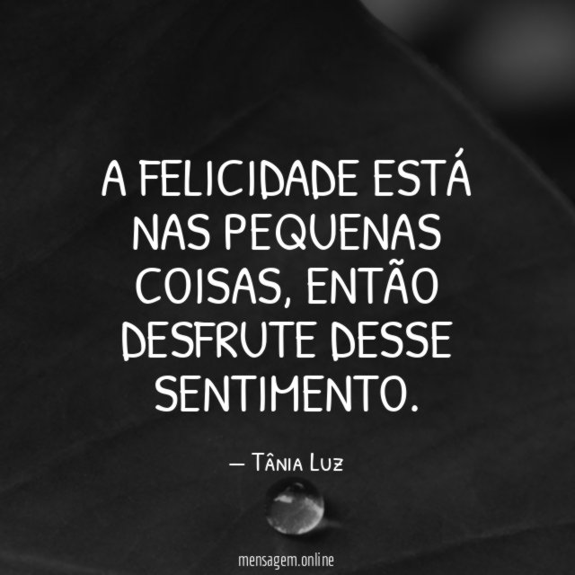 A felicidade está nas pequenas coisas