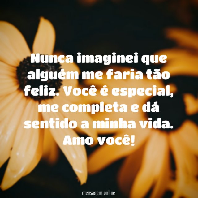 Nunca imaginei que alguém me faria tão feliz
