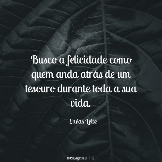 Busco a felicidade como quem anda atrás de
