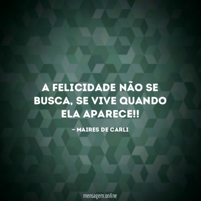 A felicidade não se busca