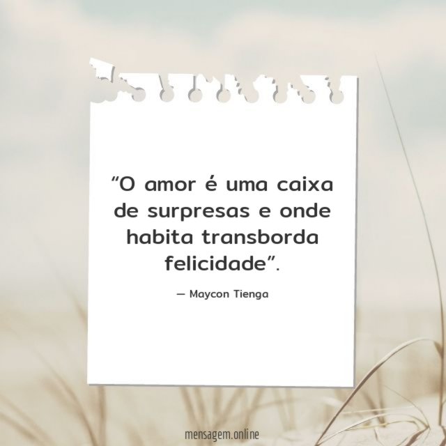 O amor é uma caixa de surpresas e onde habita transborda felicidade”