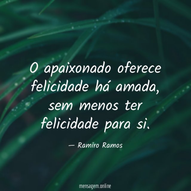 O apaixonado oferece felicidade há amada