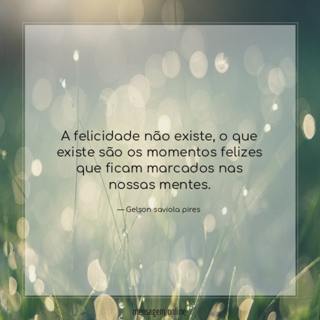A felicidade não existe