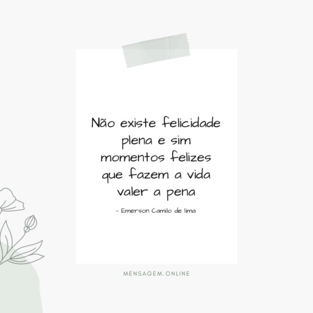 Não existe felicidade plena e sim momentos felizes