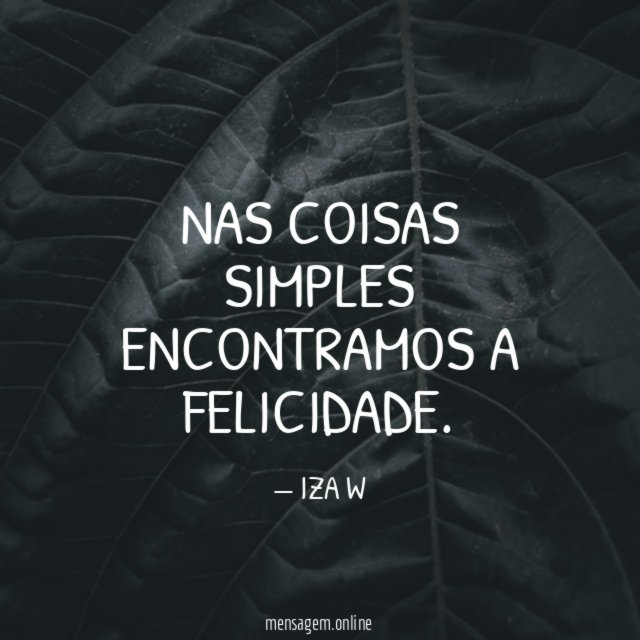 NAS COISAS SIMPLES ENCONTRAMOS A FELICIDADE