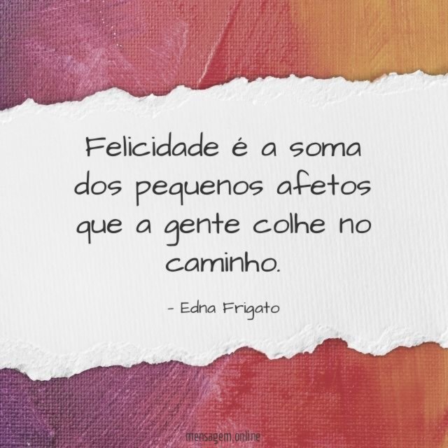 Felicidade é a soma dos pequenos afetos que a gente colhe no caminho