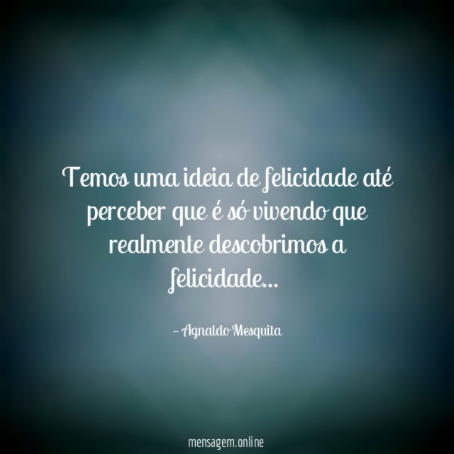 Temos uma ideia de felicidade até perceber que