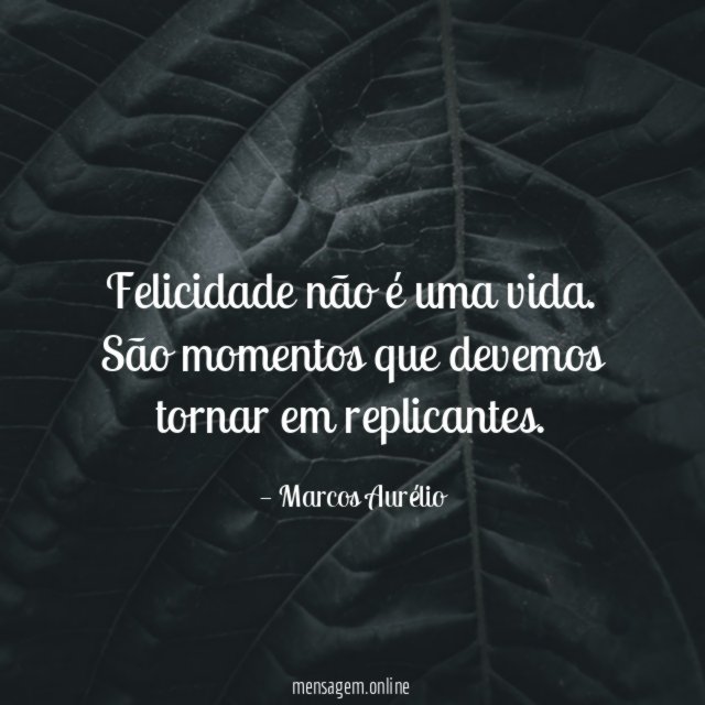 Felicidade não é uma vida