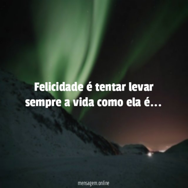 Felicidade é tentar levar sempre a vida como ela é