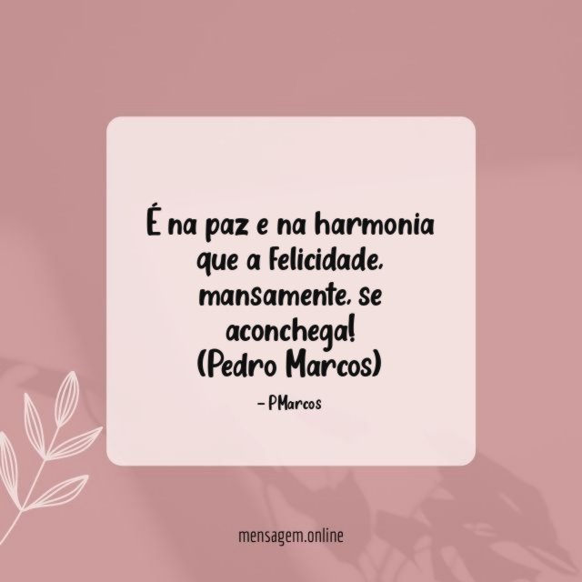 É na paz e na harmonia que a felicidade