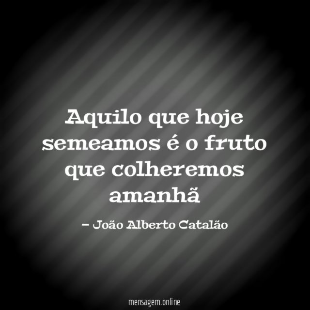 Aquilo que hoje semeamos é o fruto que colheremos amanhã