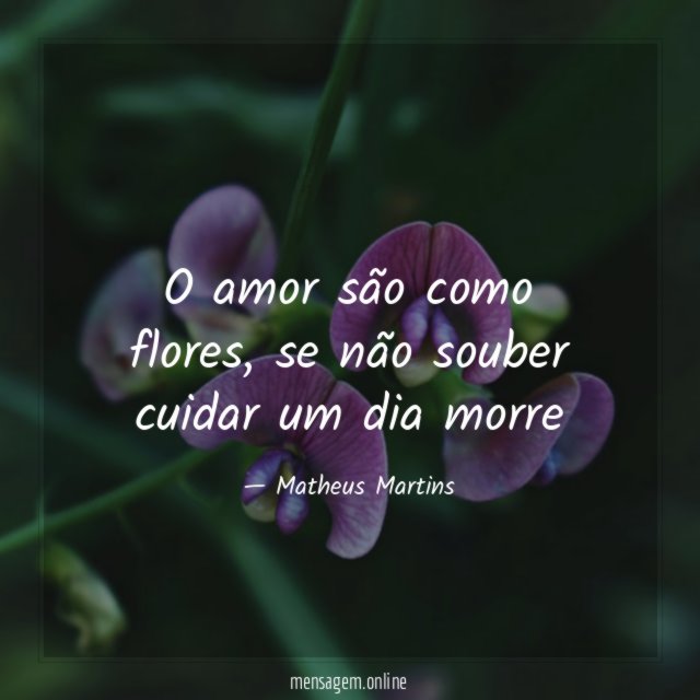 O amor são como flores