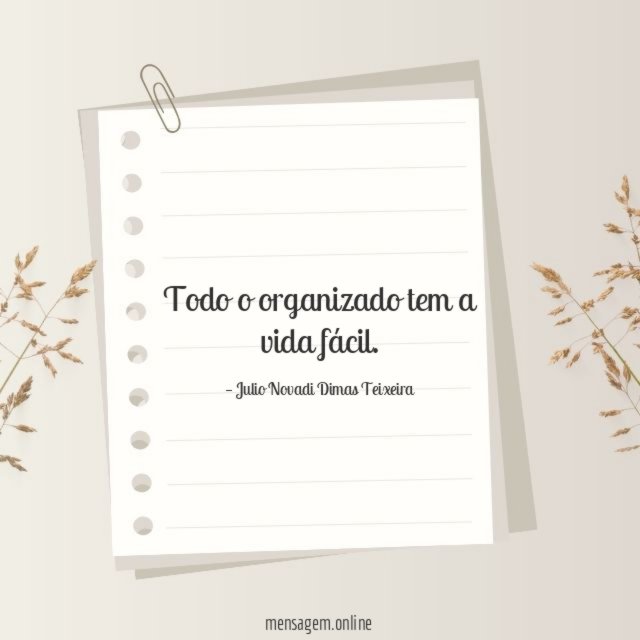 Todo o organizado tem a vida fácil