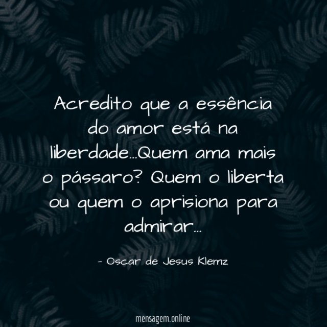Acredito que a essência do amor está na liberdade