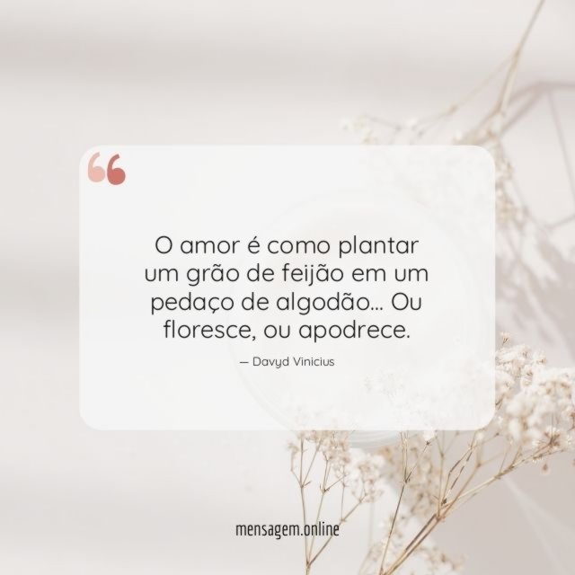 O amor é como plantar um grão de