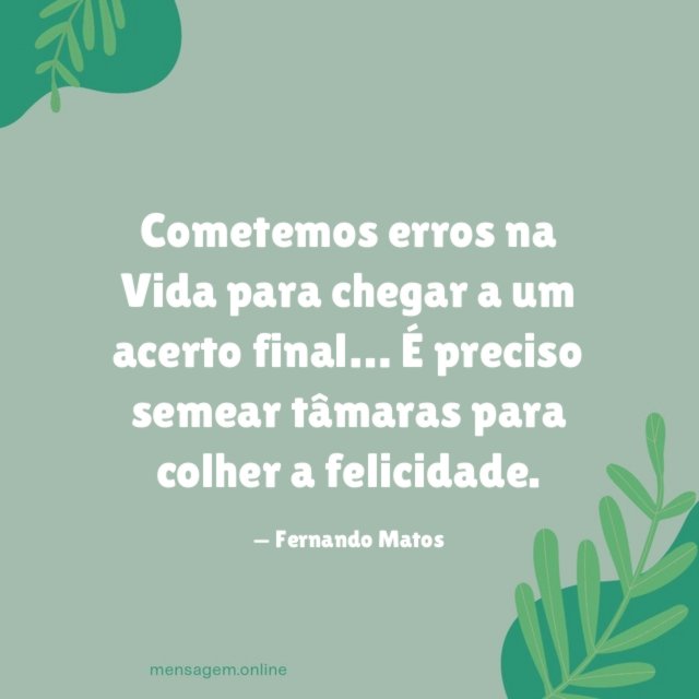 Cometemos erros na Vida para chegar a um acerto final