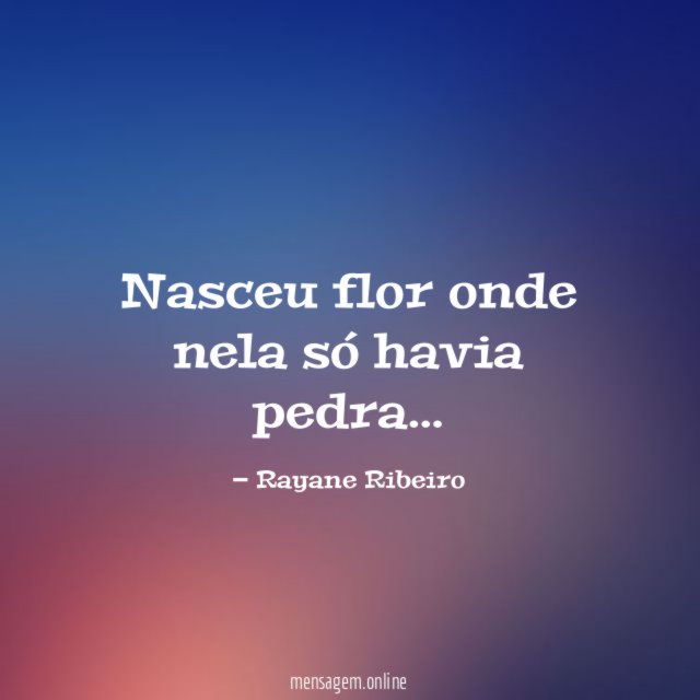 Nasceu flor onde nela só havia pedra