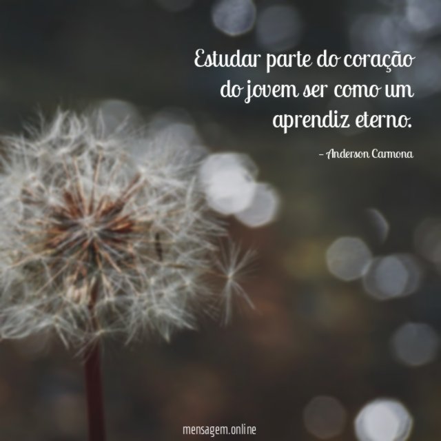 Estudar parte do coração do jovem ser como um aprendiz eterno