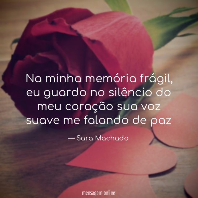 Na minha memória frágil