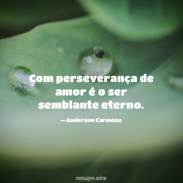 Com perseverança de amor é o ser semblante eterno