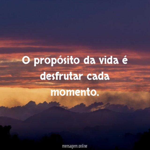 O propósito da vida é desfrutar cada momento