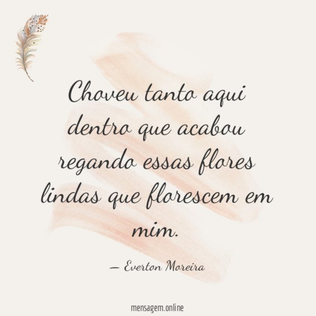 Choveu tanto aqui dentro que acabou regando essas