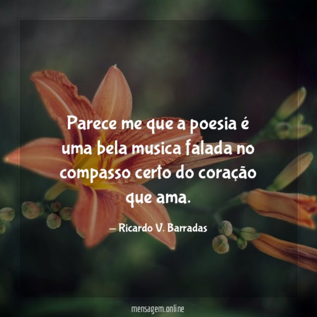 Parece me que a poesia é uma bela