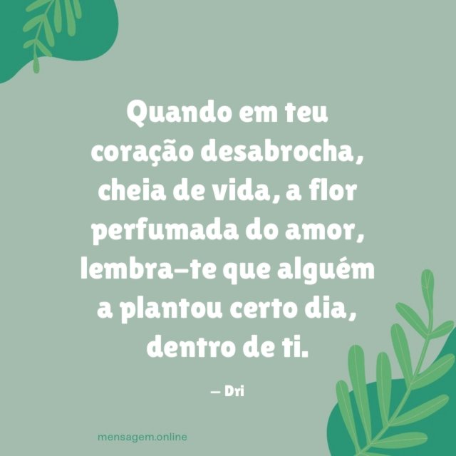 Quando em teu coração desabrocha