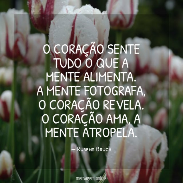 O CORAÇÃO SENTE TUDO O QUE A MENTE ALIMENTA