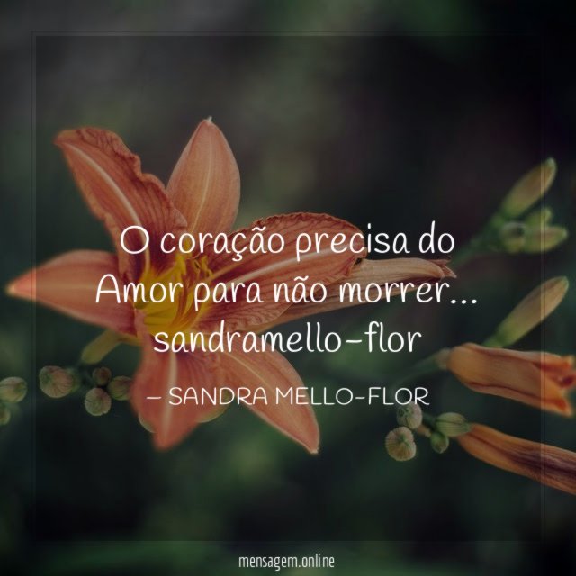 o coração precisa do Amor para não morrer