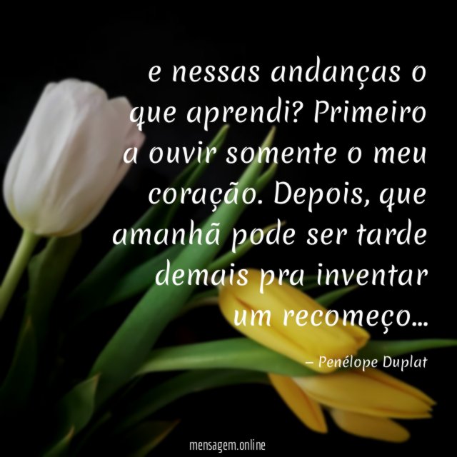 e nessas andanças o que aprendi