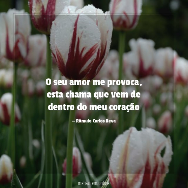 O seu amor me provoca