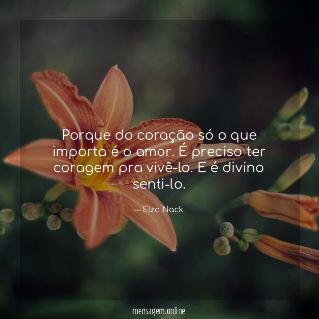 Porque do coração só o que importa é o amor
