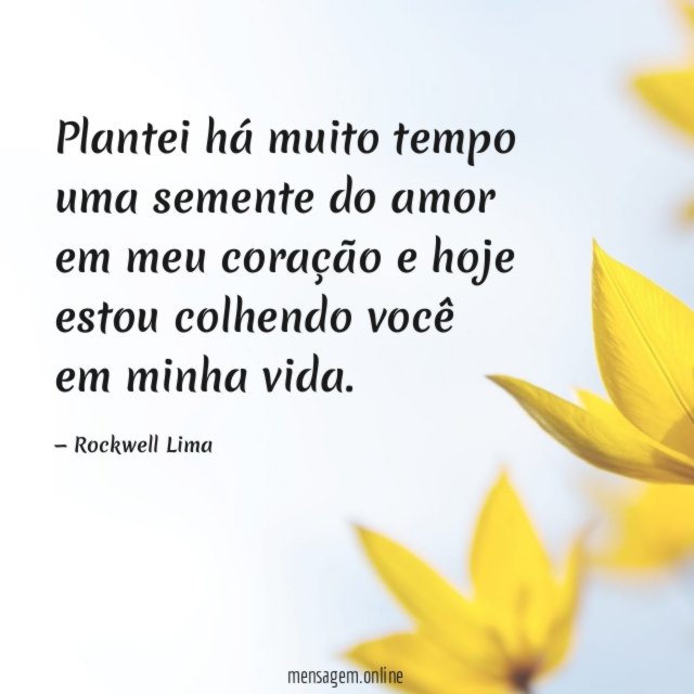 Plantei há muito tempo uma semente do amor