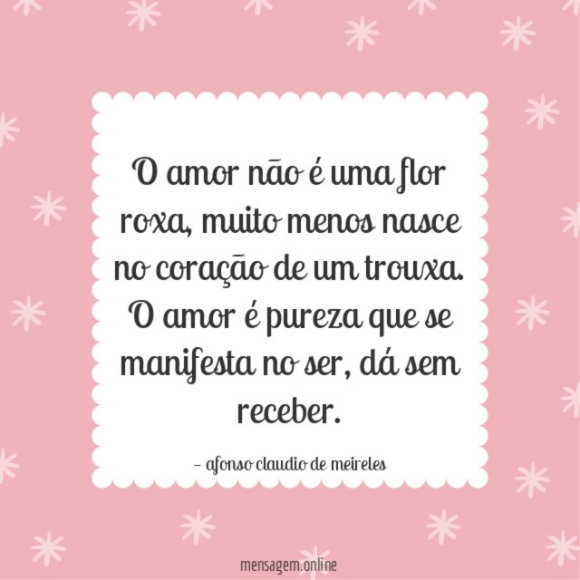 O amor não é uma flor roxa