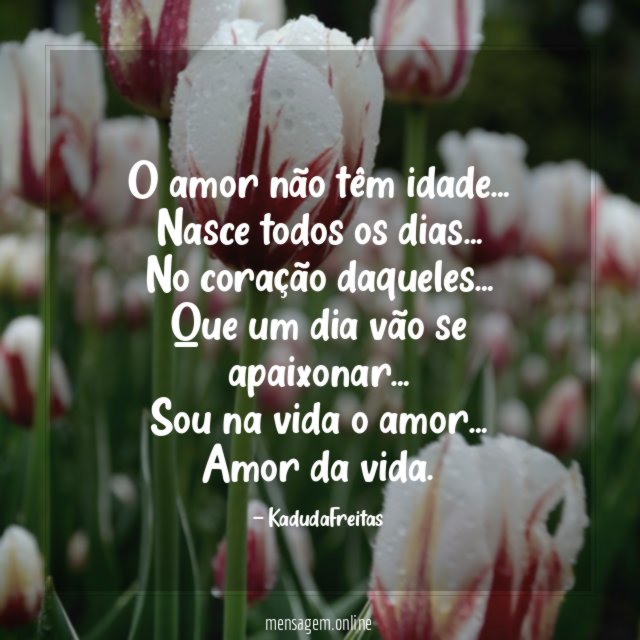 O amor não têm idade