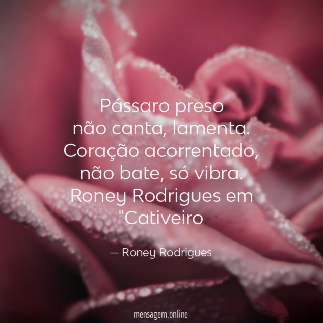 Pássaro preso
não canta, lamenta.
Coração acorrentado,
não bate, só vibra.