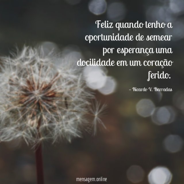 Feliz quando tenho a oportunidade de semear por