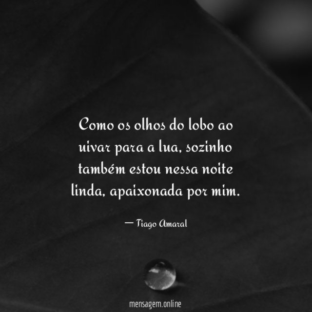 Como os olhos do lobo ao uivar para a lua