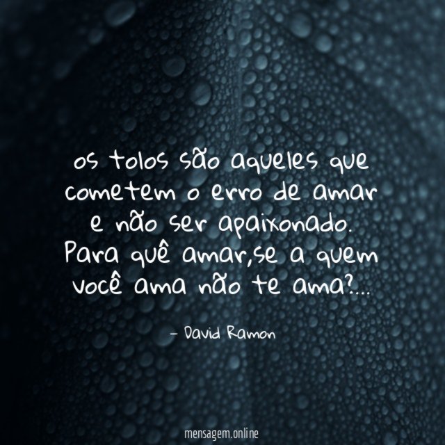 os tolos são aqueles que cometem o erro