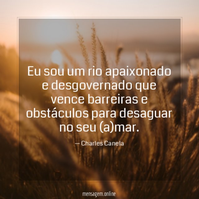 Eu sou um rio apaixonado e desgovernado que