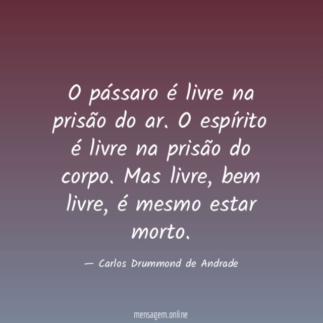 O pássaro é livre na prisão do ar